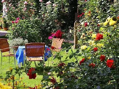 Otel Zur Krone 3*