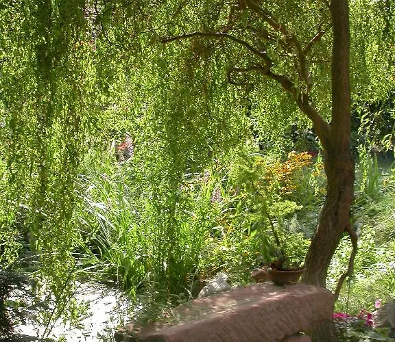 Zur Krone מלון אואגן